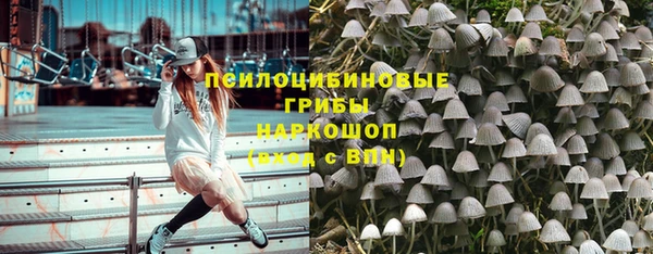 стаф Верхний Тагил