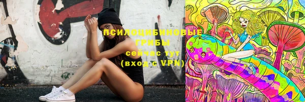 стаф Верхний Тагил