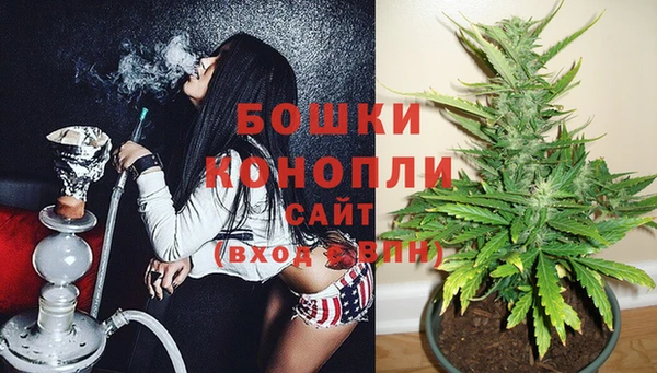 стаф Верхний Тагил