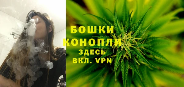стаф Верхний Тагил