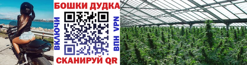 МАРИХУАНА SATIVA & INDICA  гидра ссылка  Пенза 